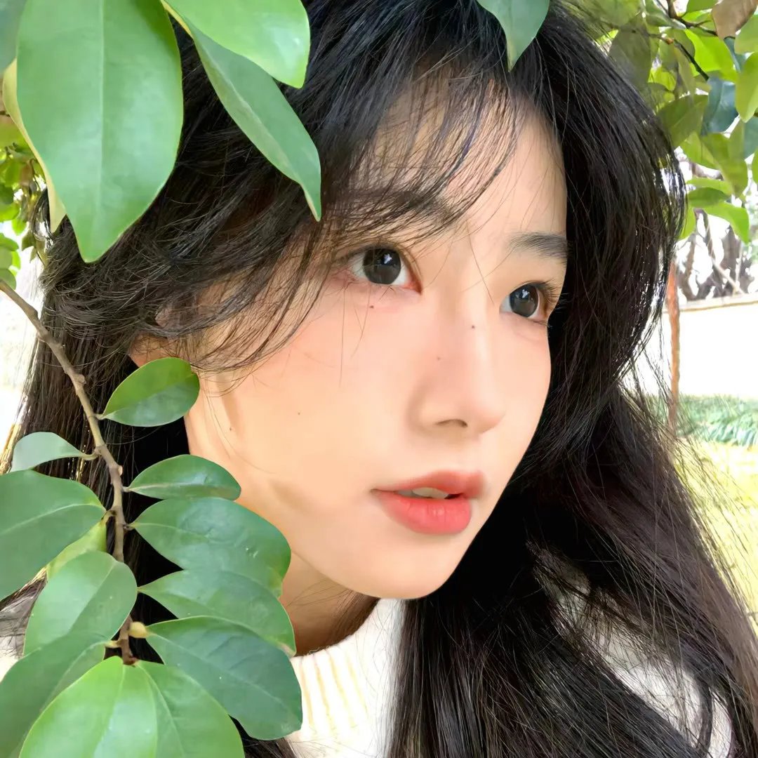 地球四季