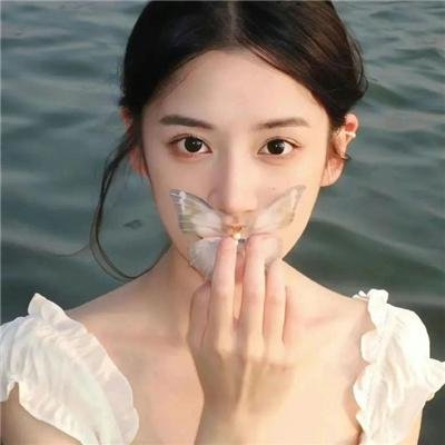 完美的主人